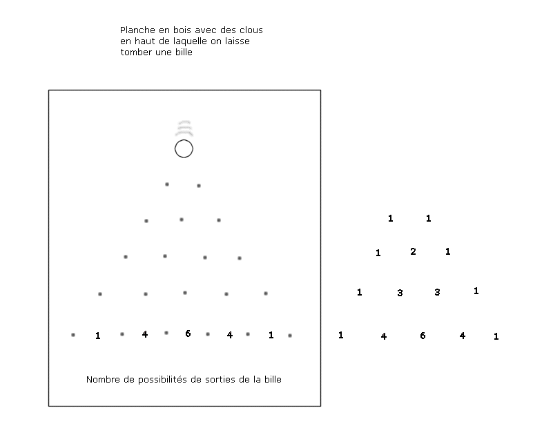 triangle de pascal et probabilités